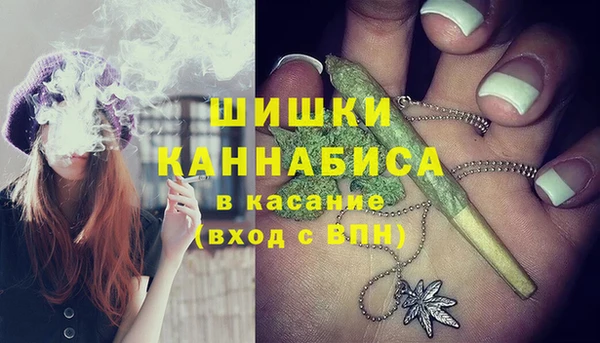 амф Ладушкин